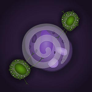 Innate immune system: natural killer cells with pathogen, vector illustration photo